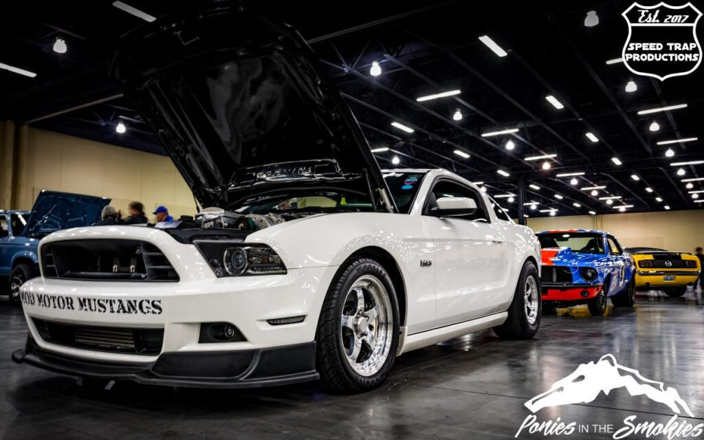 mustang show